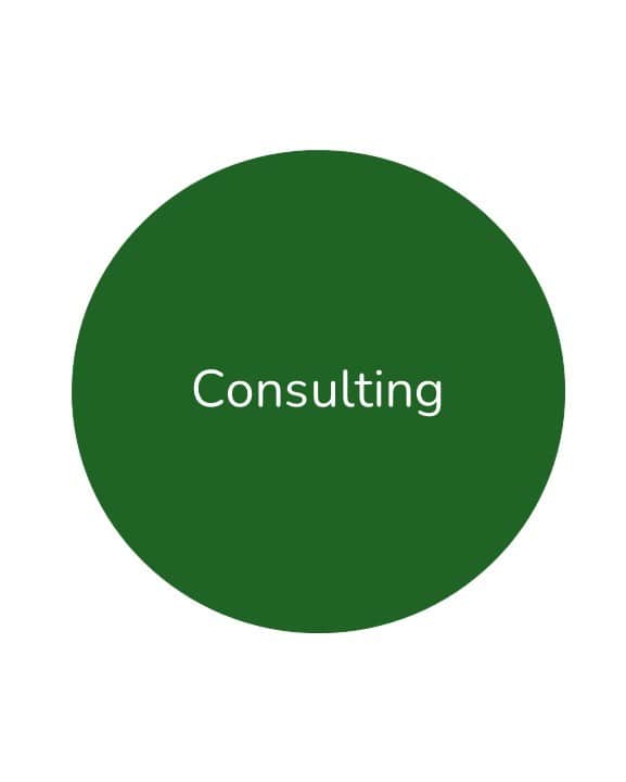 consulting