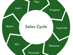 8 partes 25 sales cycle