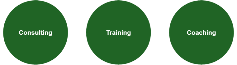 consulting training coaching